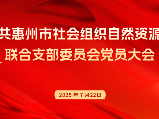 中共惠州市社会组织自然资源类联合支部委员会党员大会顺利召开
